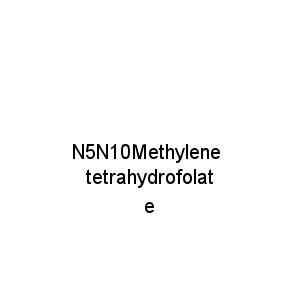 N5N10Methylene tetrahydrofolate